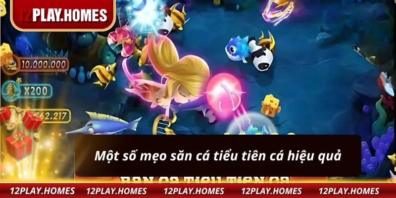 Những mẹo bắn cá tiểu tiên cá hữu ích 